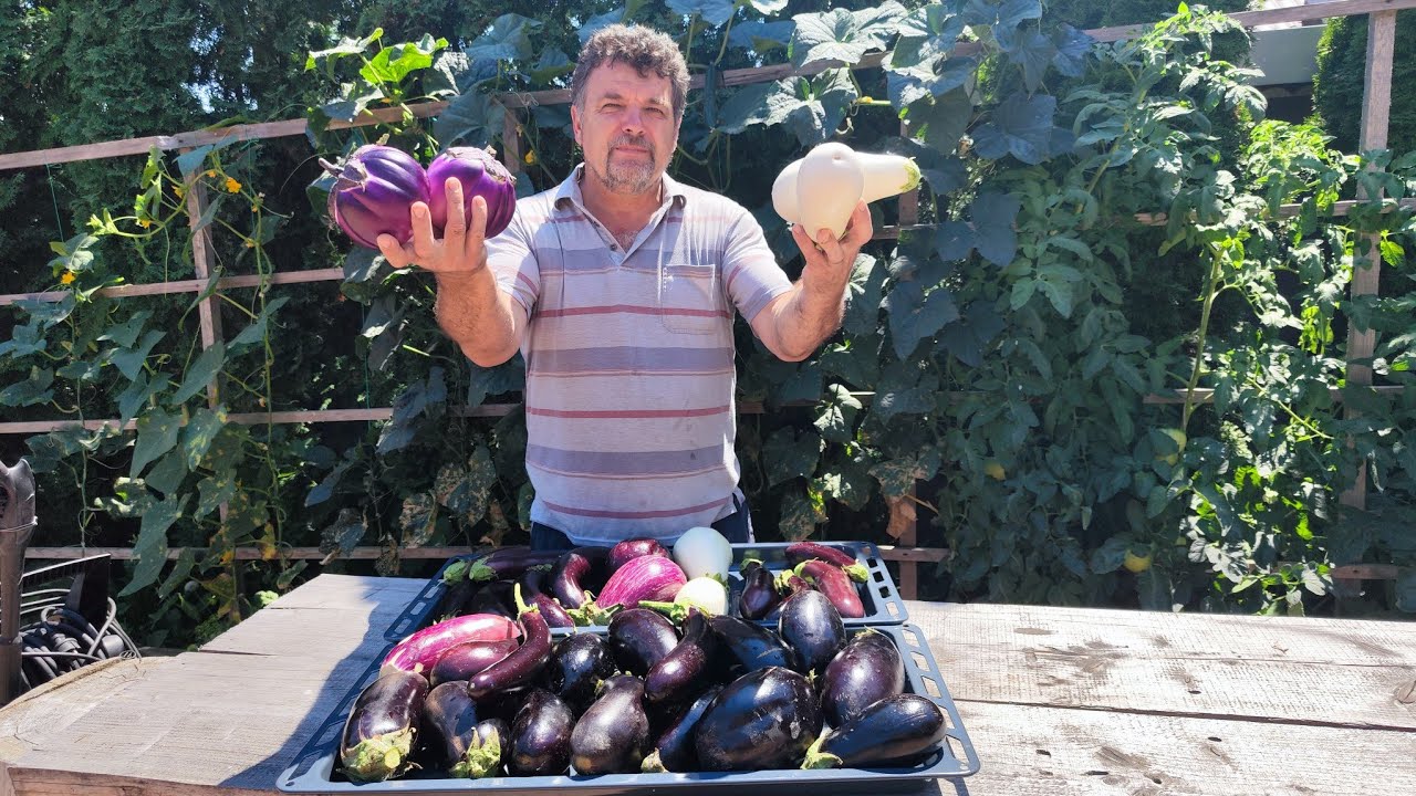 VINETE COAPTE ÎN CUPTOR🍆 FRIPTURĂ LA CRATIȚĂ 🍗