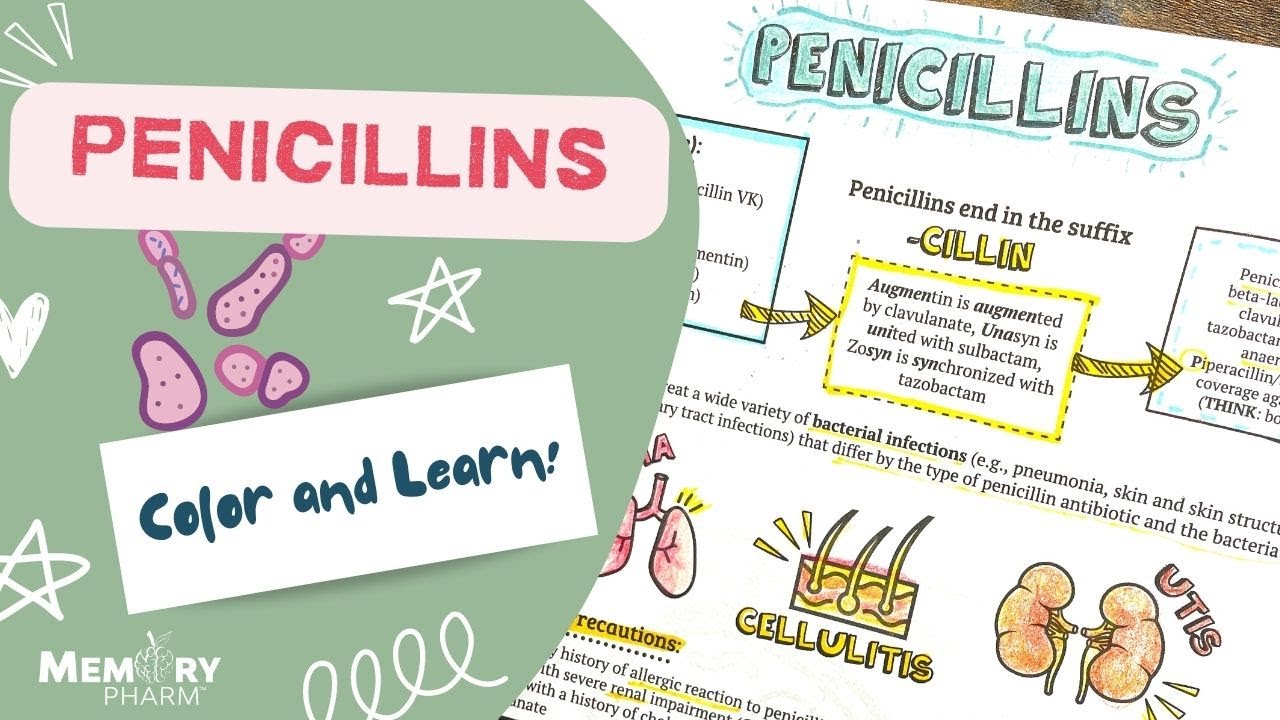 Penicillin Antibiotics Made Easy (Mnemonics, Mechanism of Action, Side Effects, Counseling Points)