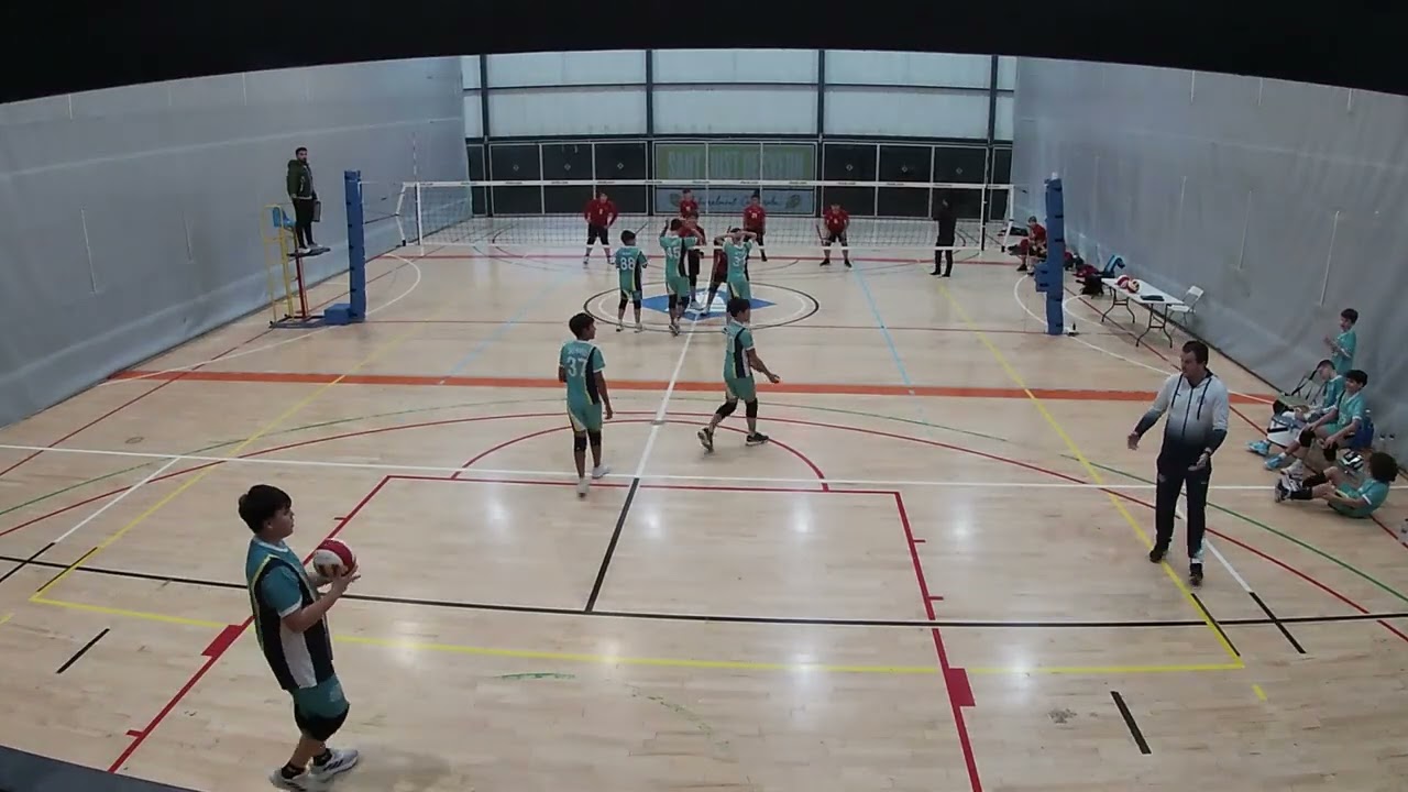 Voleibol Sant Just  -  CEV Hospitalet Vermell