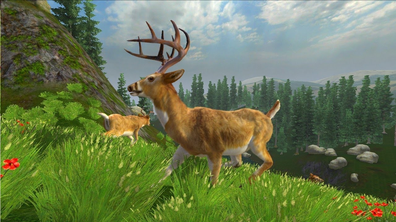 Cabela's Monster Buck Hunter (Wii) - Gameplay [4K 60FPS]