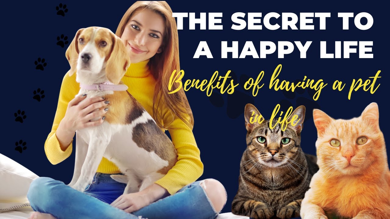 Pets and Mental Health | How Companion Animals Can Help Reduce Anxiety and Depression.