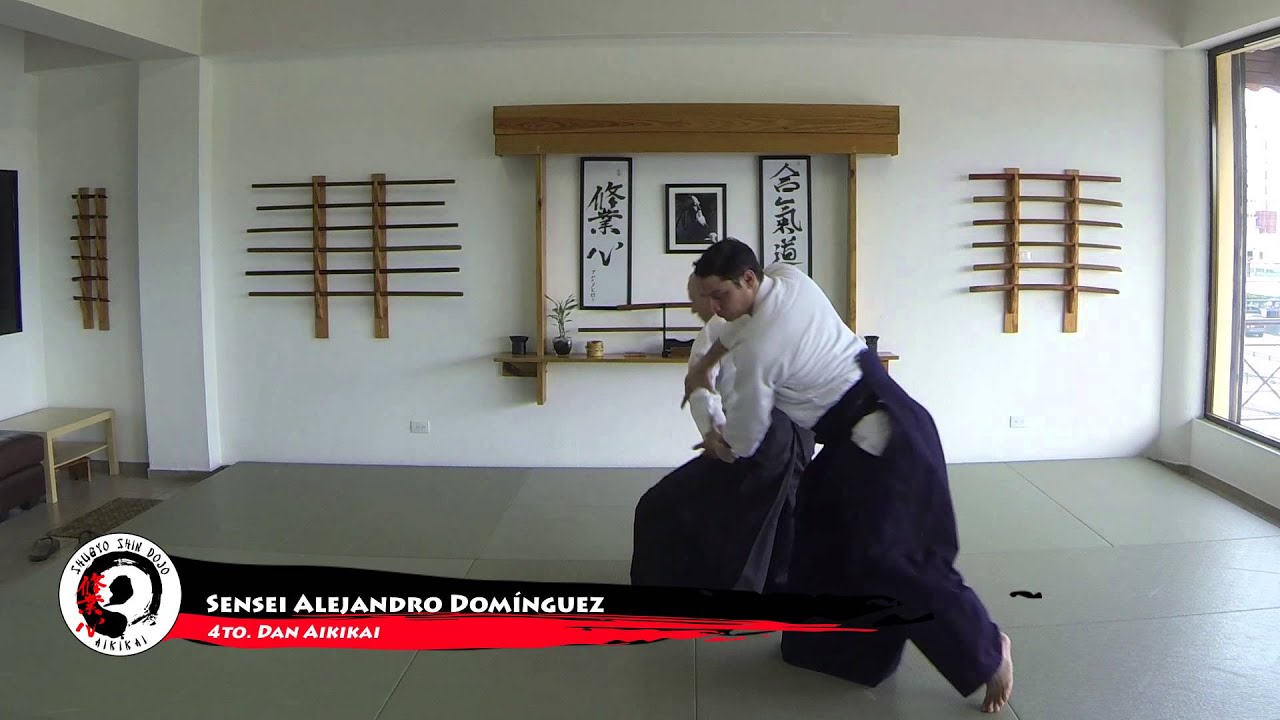 Katate dori ai hanmi Ikkyo Ura