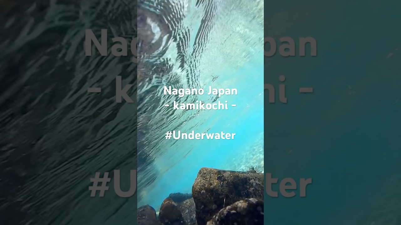 #Japan #Japanesescenery #Japantravel #natureinJapan #日本 #日本の風景 #virtualtravelJapan #underwater