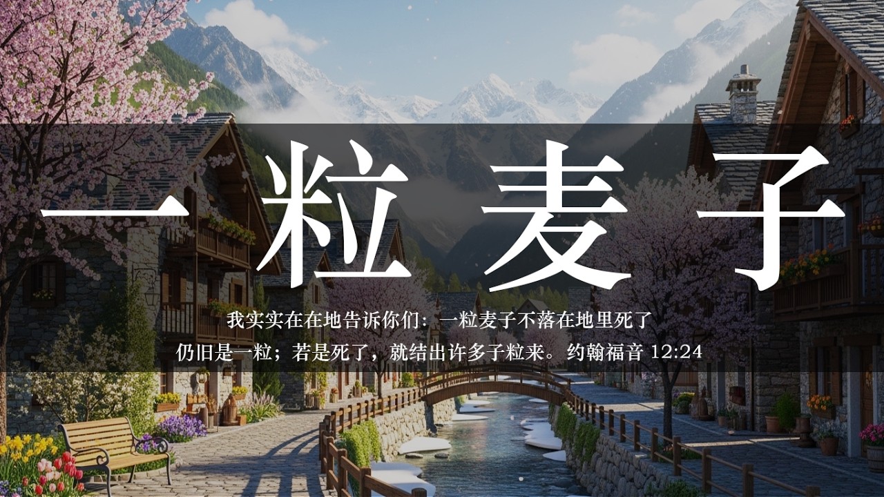 【睡前祷告】一粒麦子20260404-主啊求你帮助我们像落在地里的麦子，安静地顺服。即使面对失去，也愿意把自己交在你手中，病相信破碎之后，会有生命的果子结出来。