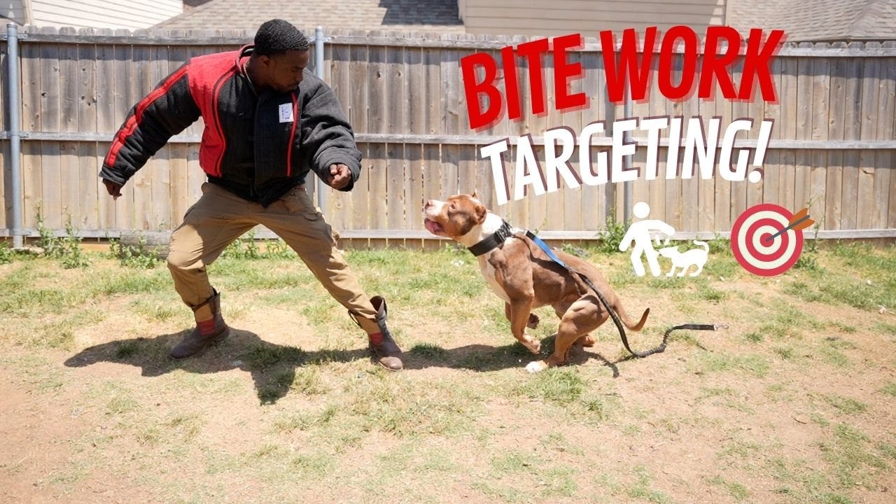 Bite Work Targeting