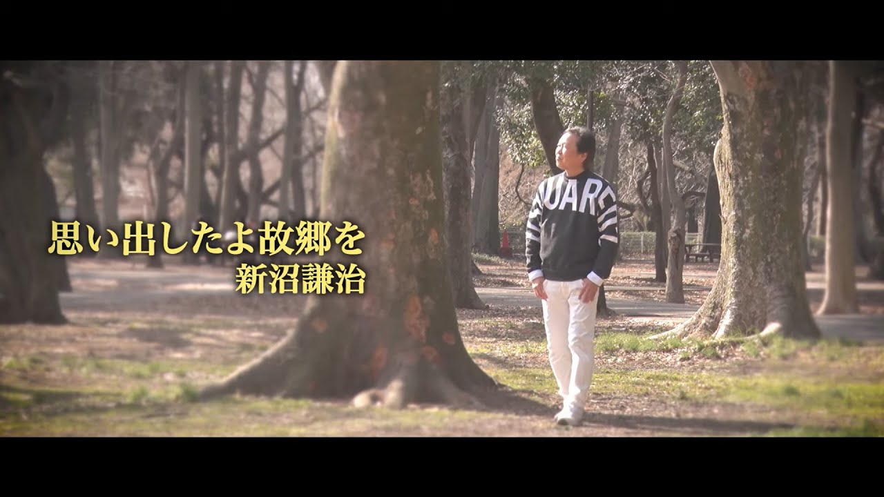 新沼謙治 / 思い出したよ故郷を