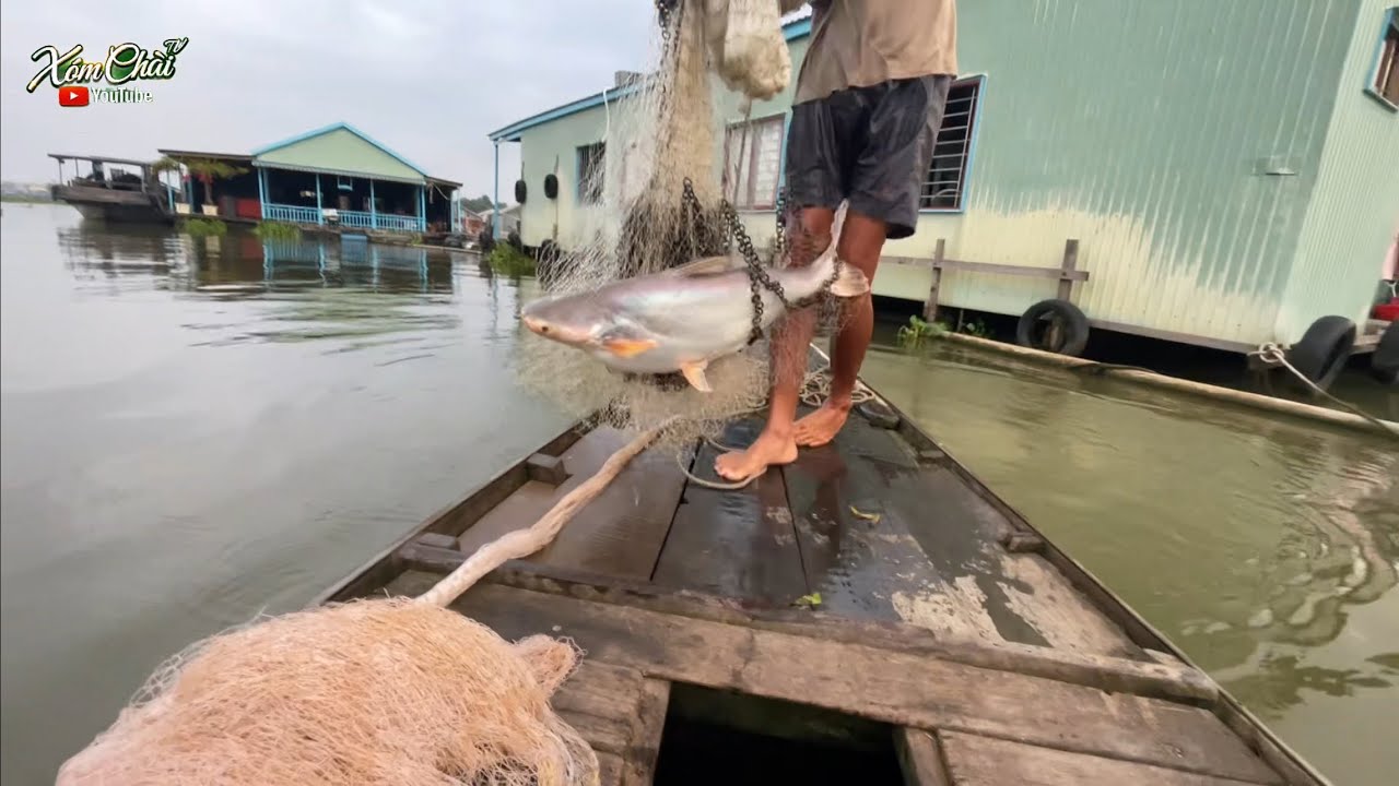 Trúng Ngay Con Nước Chài Đâu Cũng Toàn Cá 