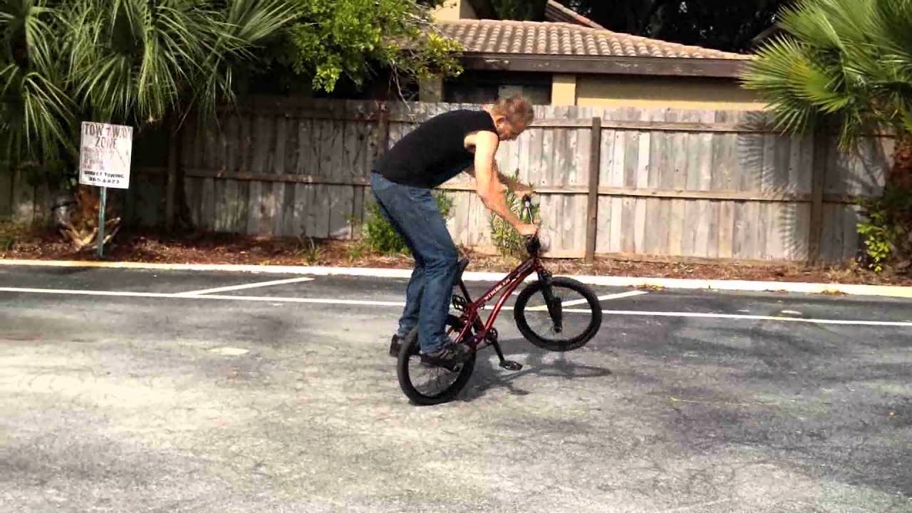 Matt Wilhelm - Sunny Sarasota