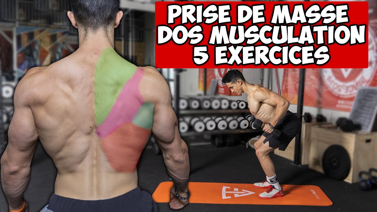 DOS PRISE DE MASSE MUSCULATION !!