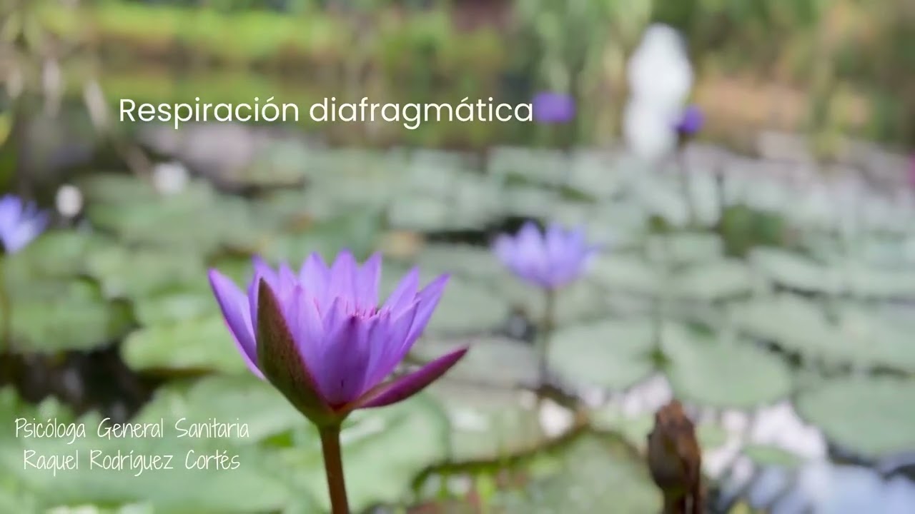 Respiración diafragmática para bajar el estrés