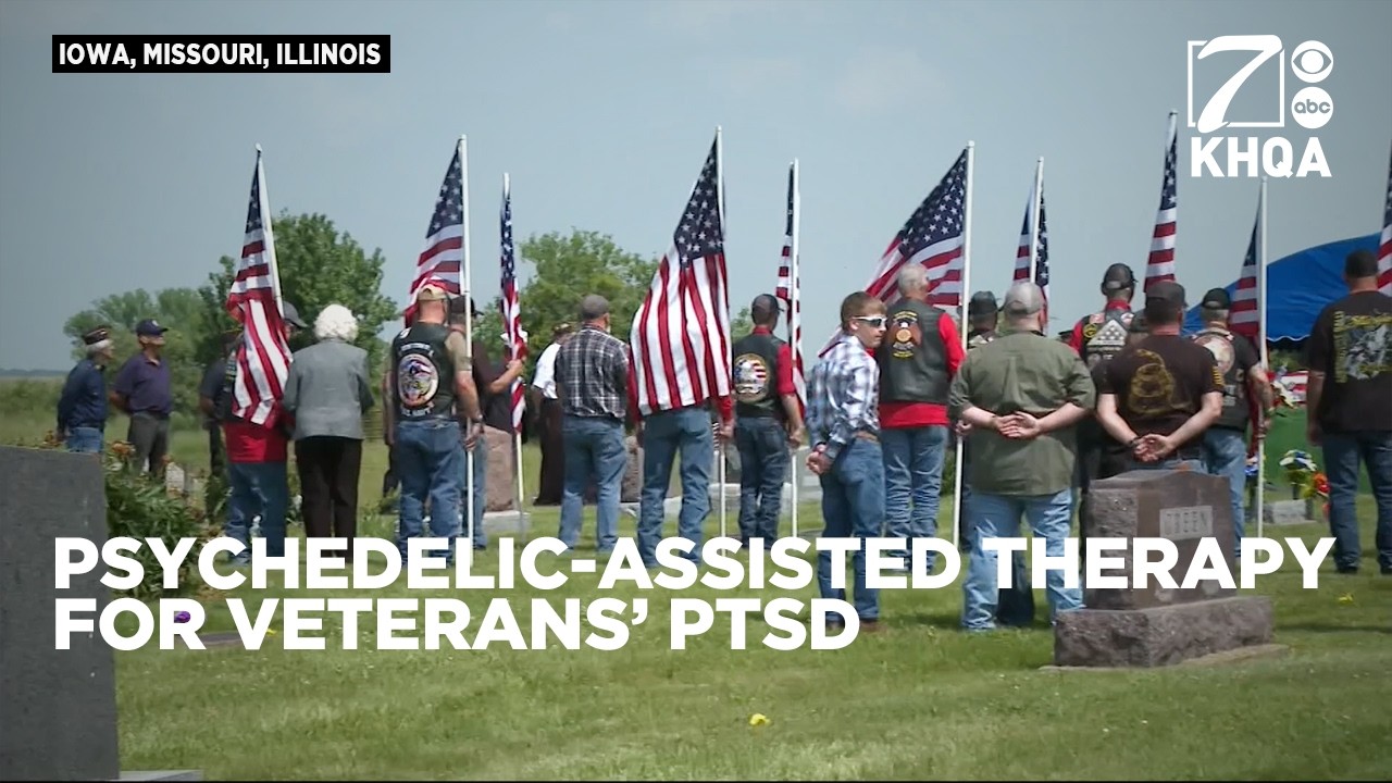 Psychedelic-assisted therapy becomes potential treatment for PTSD in veterans