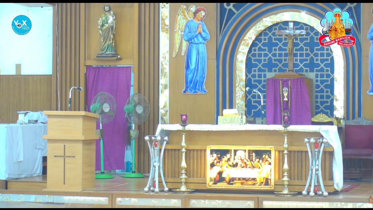 🔻 LIVE MASS || വേളാങ്കണ്ണി പള്ളിയിൽ നിന്ന് മലയാളം ദിവ്യബലി തത്സമയം || (MON to SAT 9 AM)