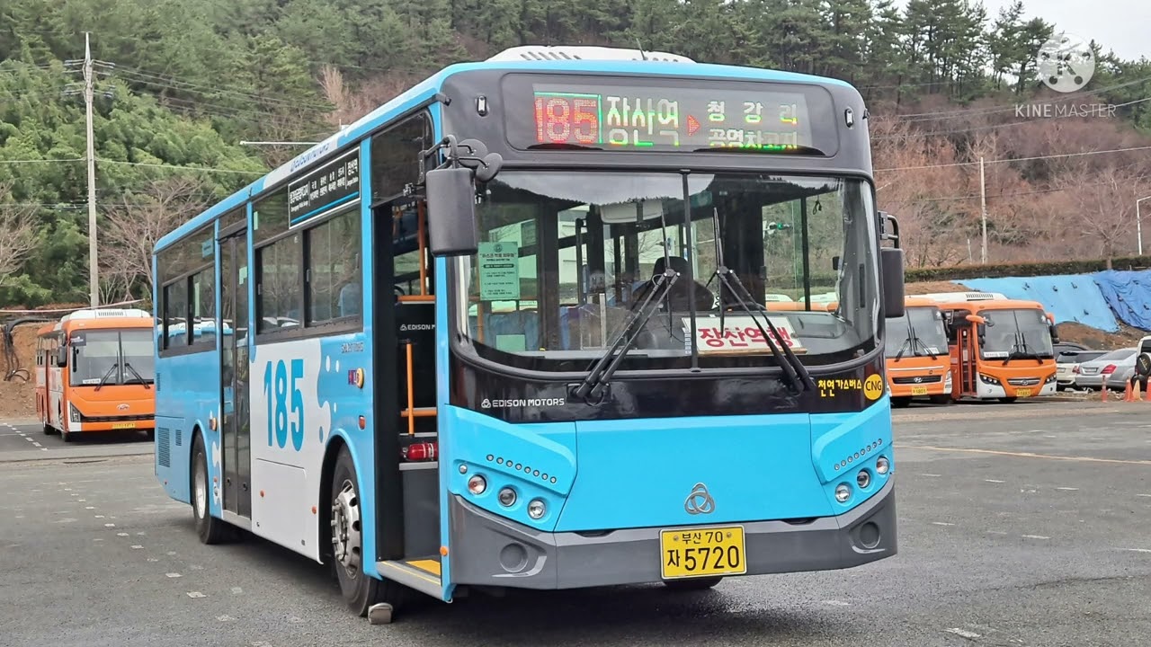 부산버스사진