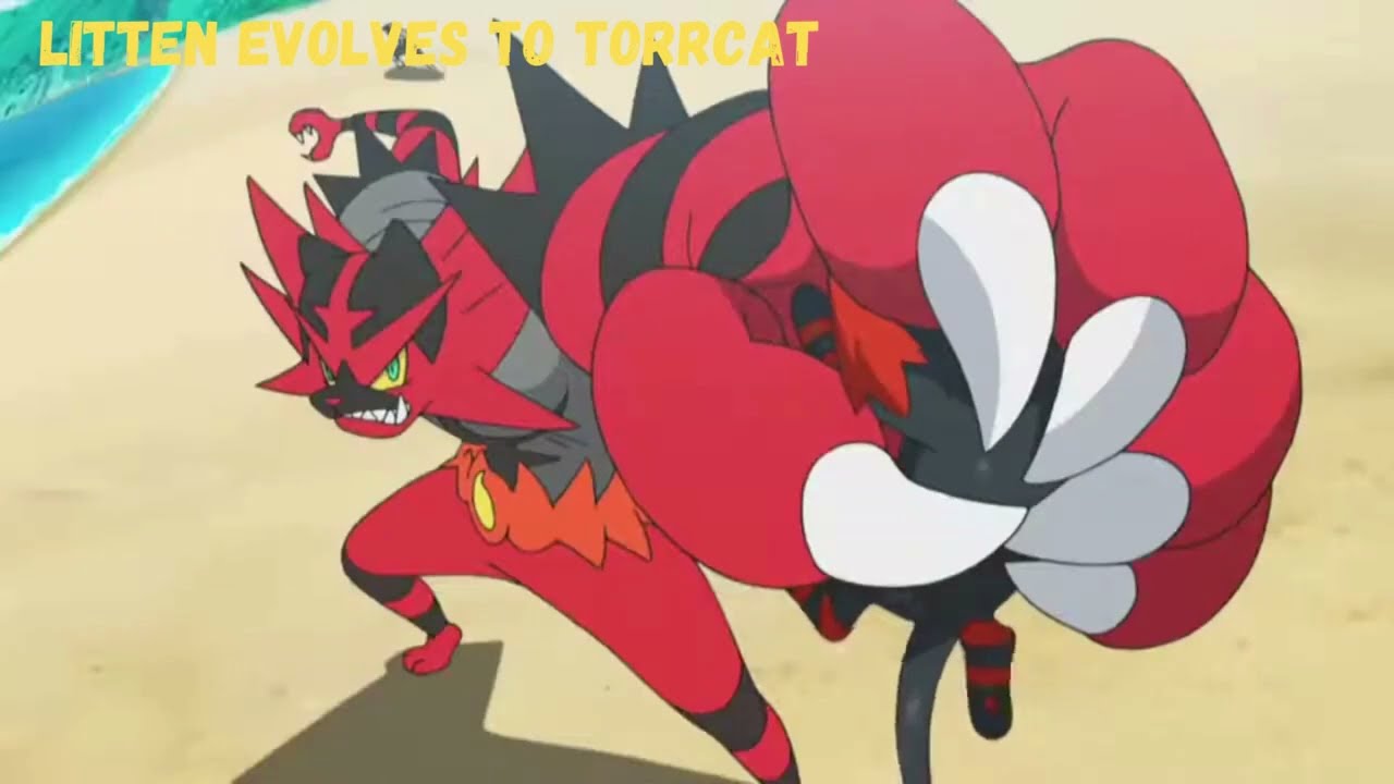Ash's Litten evolution to Incineroar