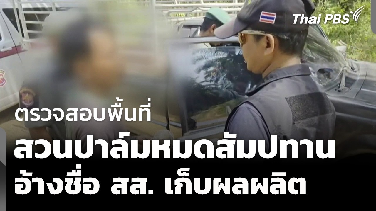 ตรวจสอบพื้นที่สวนปาล์มหมดสัมปทาน อ้างชื่อ สส. เข้าเก็บผลผลิต | ข่าวเที่ยง | 28 ก.พ. 69