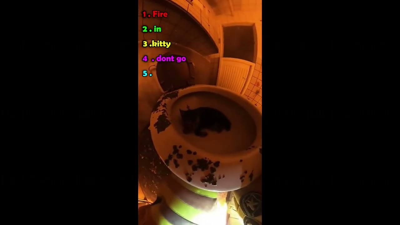 "He Went Back In 4 Times... For This One Cat"