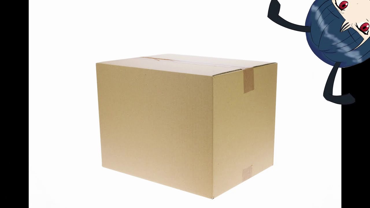 What's in the box?
