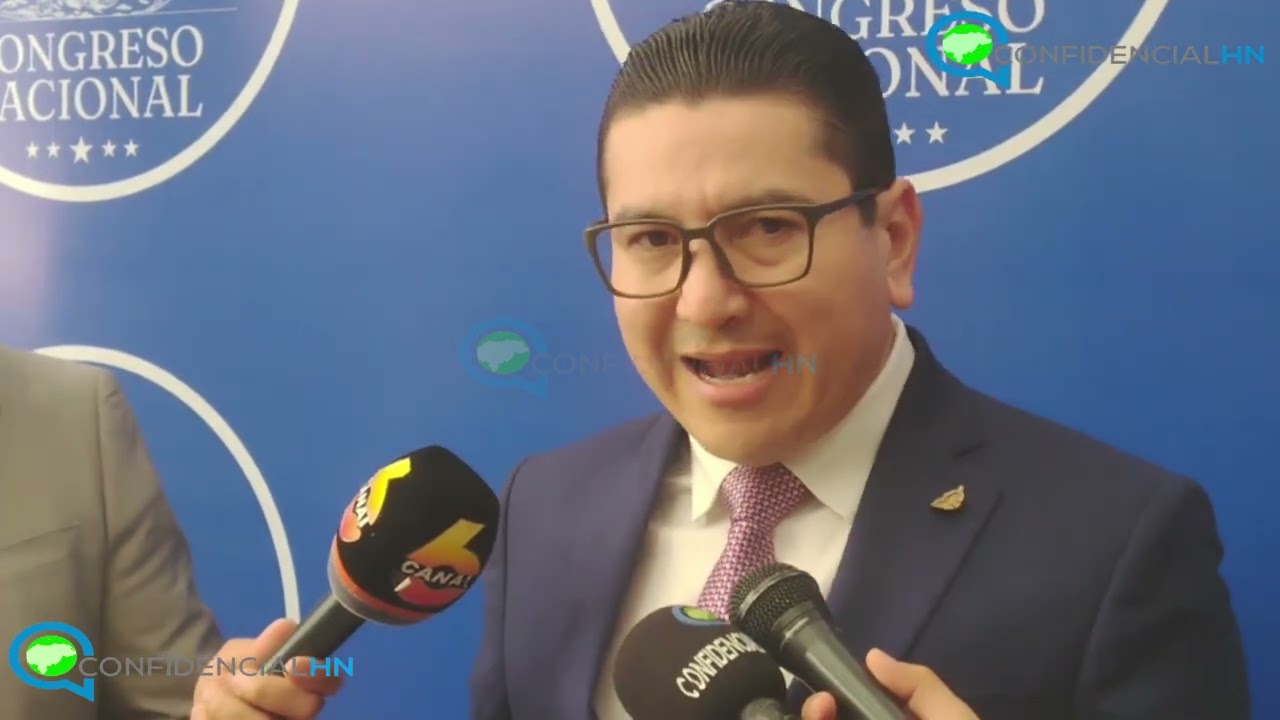 En Honduras también debe respetarse la Ley de Migración y Extranjería: Eder Mejía