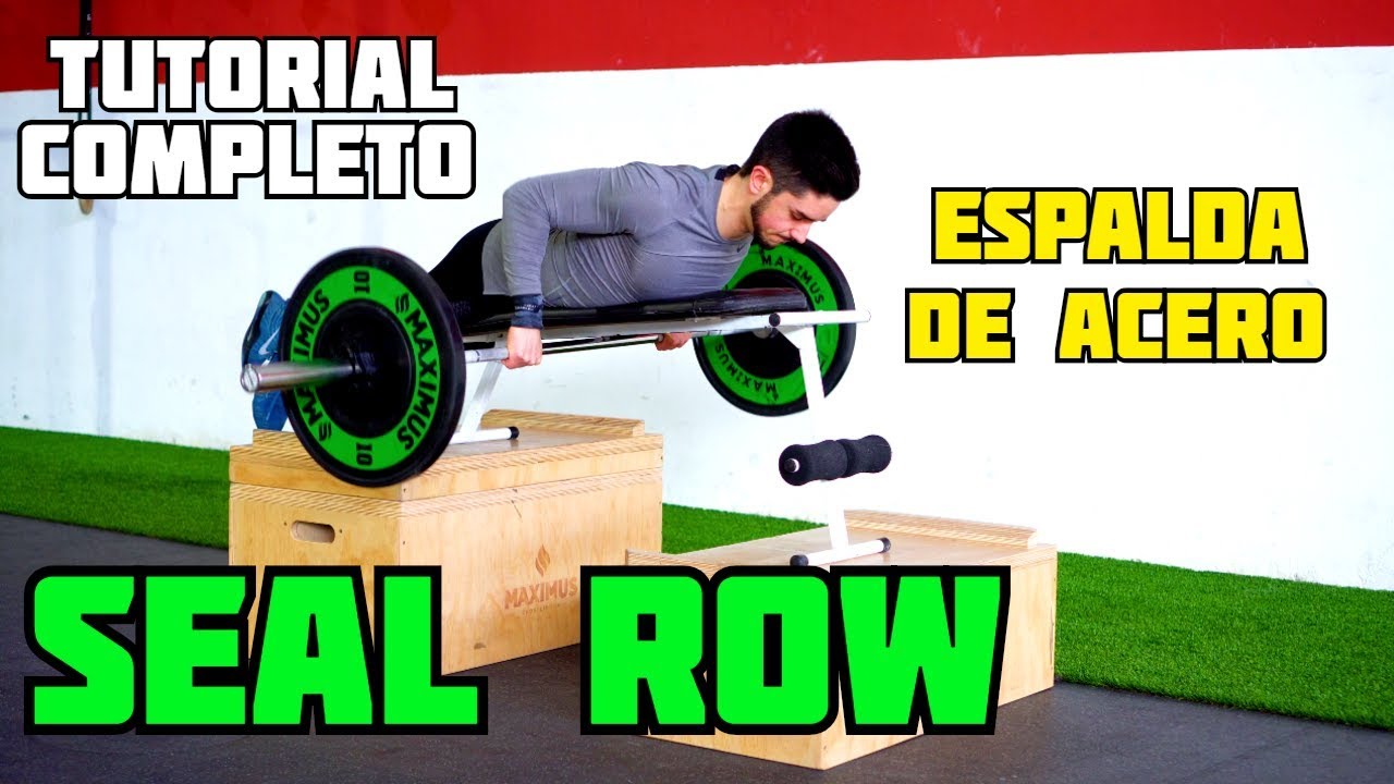 SEAL ROW 💥Tutorial Completo ✅ El Mejor Remo con Barra para una Espalda Fuerte