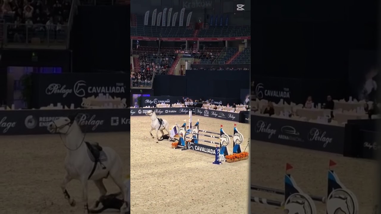 Ale mi jej szkoda😭🥺(ja to nagrywałam😭)#horse #horsefall #equestrian #cavaliada #horseriding
