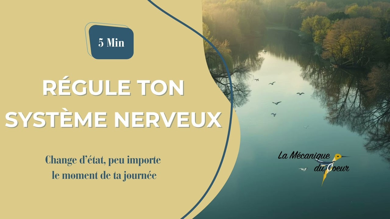 Régule ton système nerveux en 5 Minutes