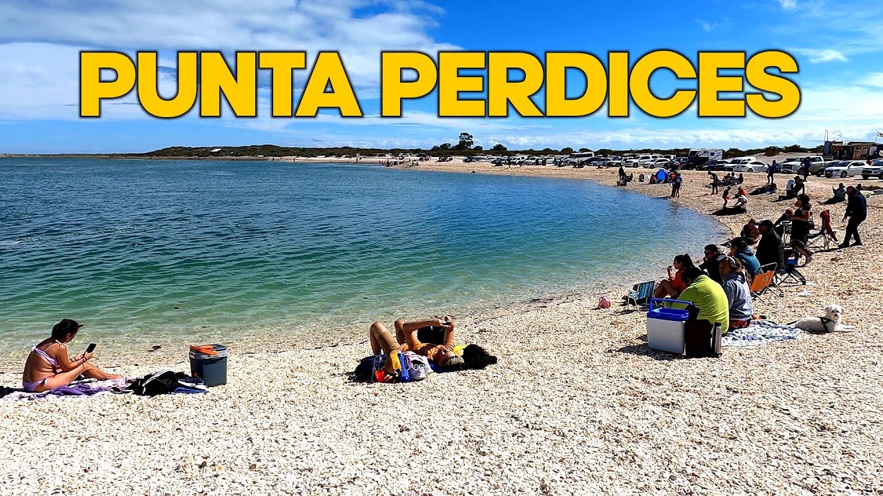 Caminando por PUNTA PERDICES, El Caribe de la Patagonia | RIO NEGRO