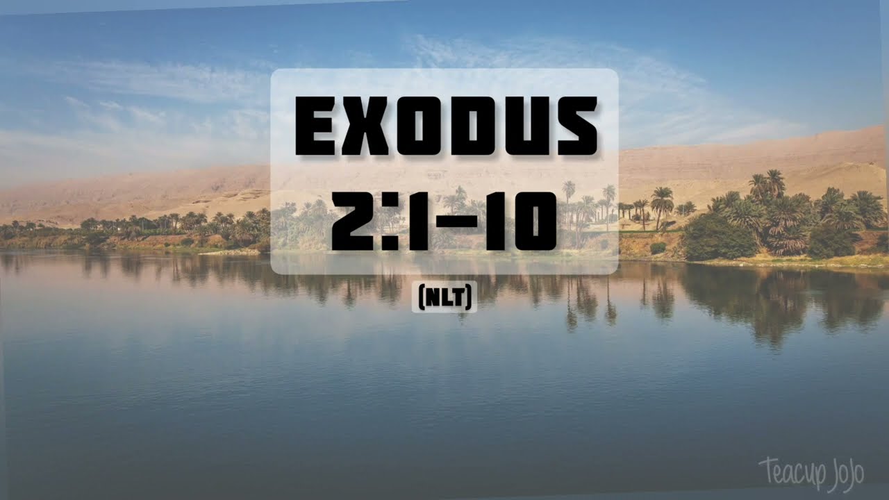 Exodus 2:1-10 — The Birth of Moses — NLT Audiovisual