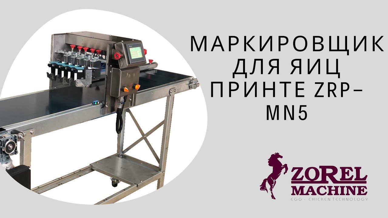 МАРКИРОВЩИК ДЛЯ ЯИЦ ПРИНТЕР ZRP MN5