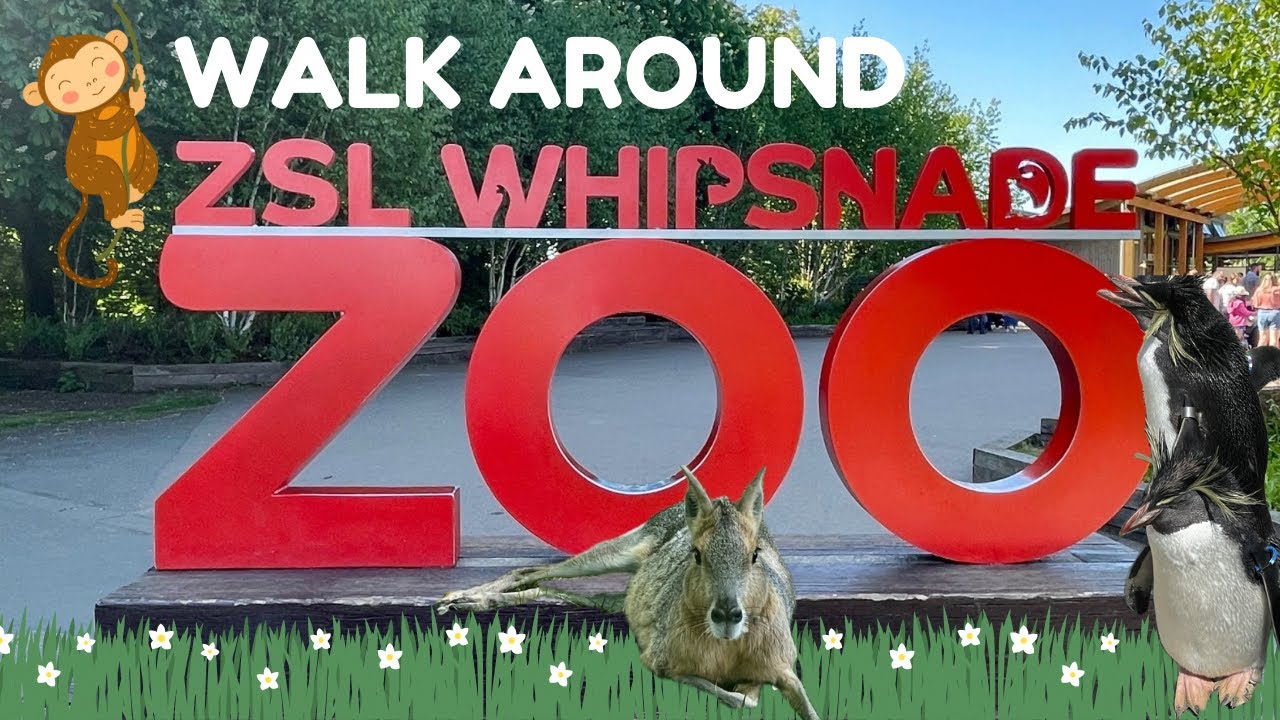 A Walk Around Whipsnade Zoo | Exploring Wildlife in the Great Outdoors