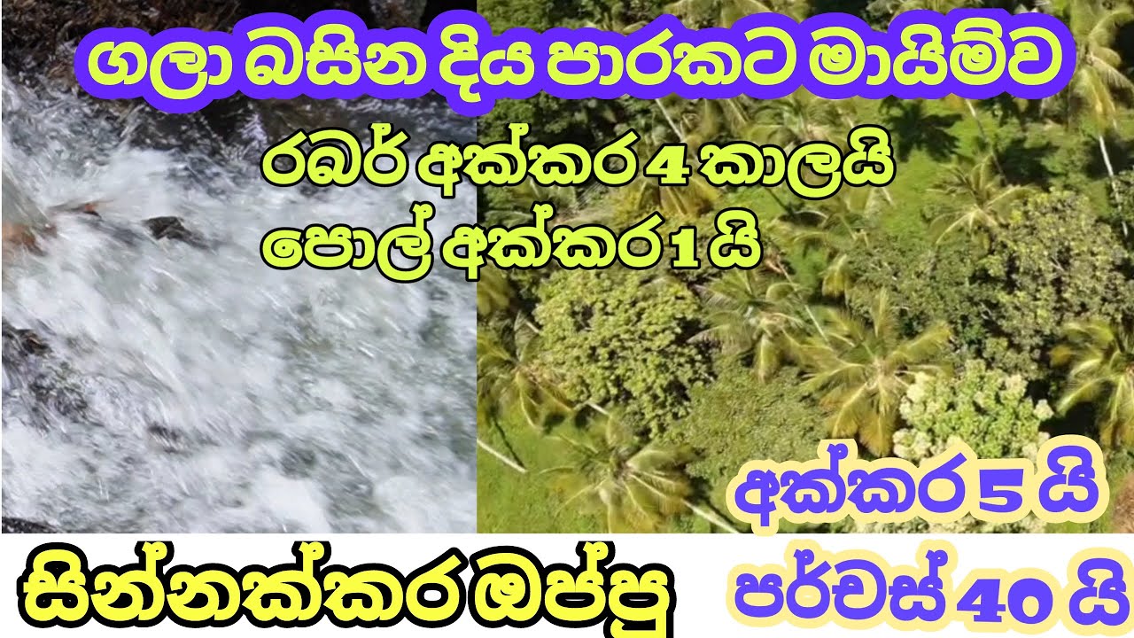 ලස්සන පරිසරයක පිහිටි ආදායමක් ලබන්න පුළුවන් ඉඩම property sale in Kagalla batuwattha .Kagalla idam