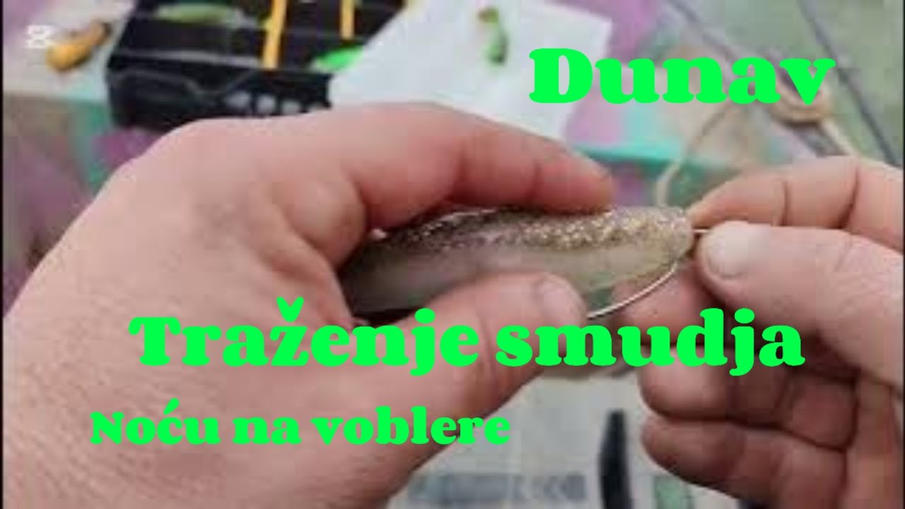 Pecanje smudja * Zimsko pecanje Dunav