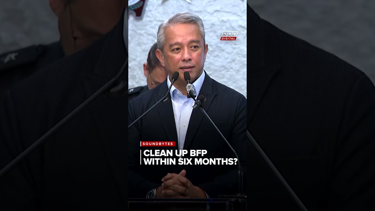 Jonvic Remulla vows to 'clean up' BFP within six months | ANC
