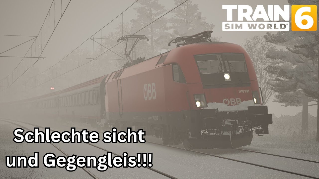 Schlechte sicht und Gegengleis!!! / TSW 6