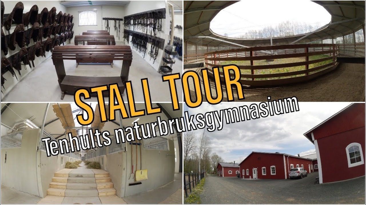 STALL TOUR + EN DAG I SKOLAN