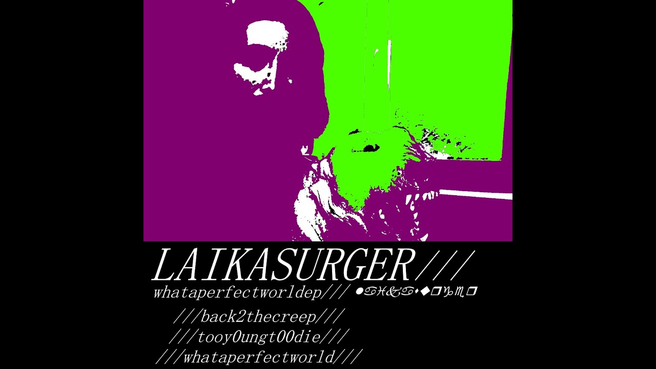 laikasurger - whataperfectworld