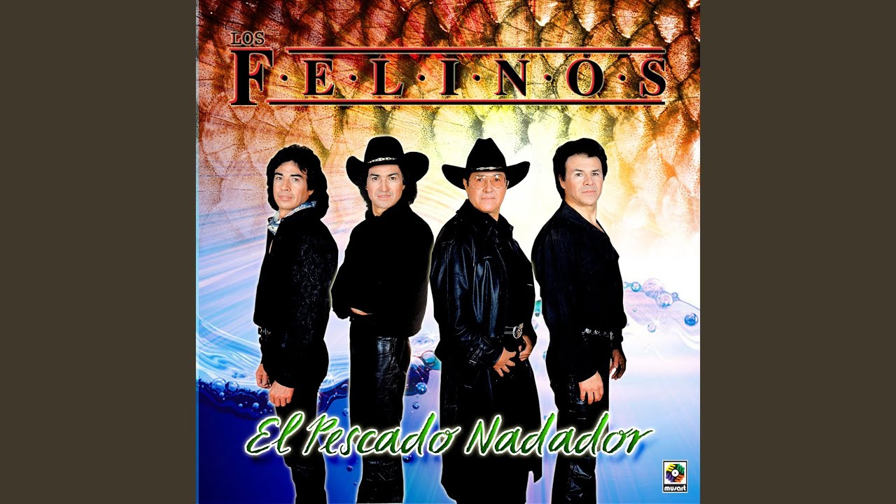 El Tecolote