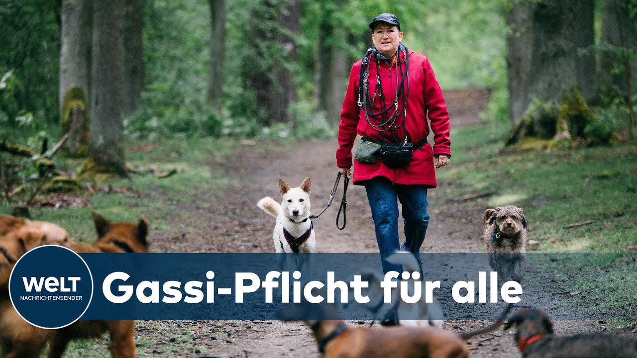 JULIA KLÖCKNER: Hunden soll per Verordnung ausreichend Auslauf garantiert werden