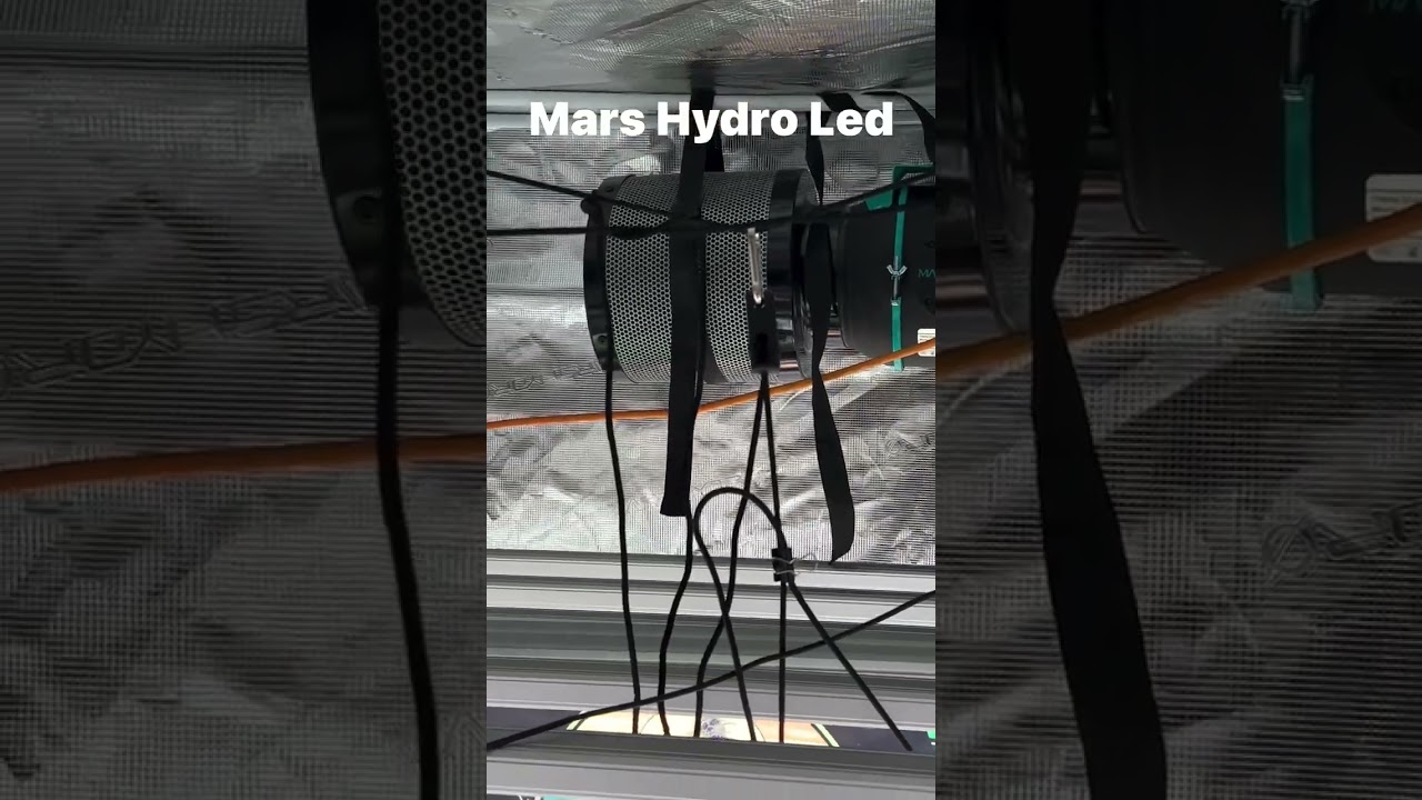Mars Hydro Grow Tent Kits offer a complete growing environment for your plants.