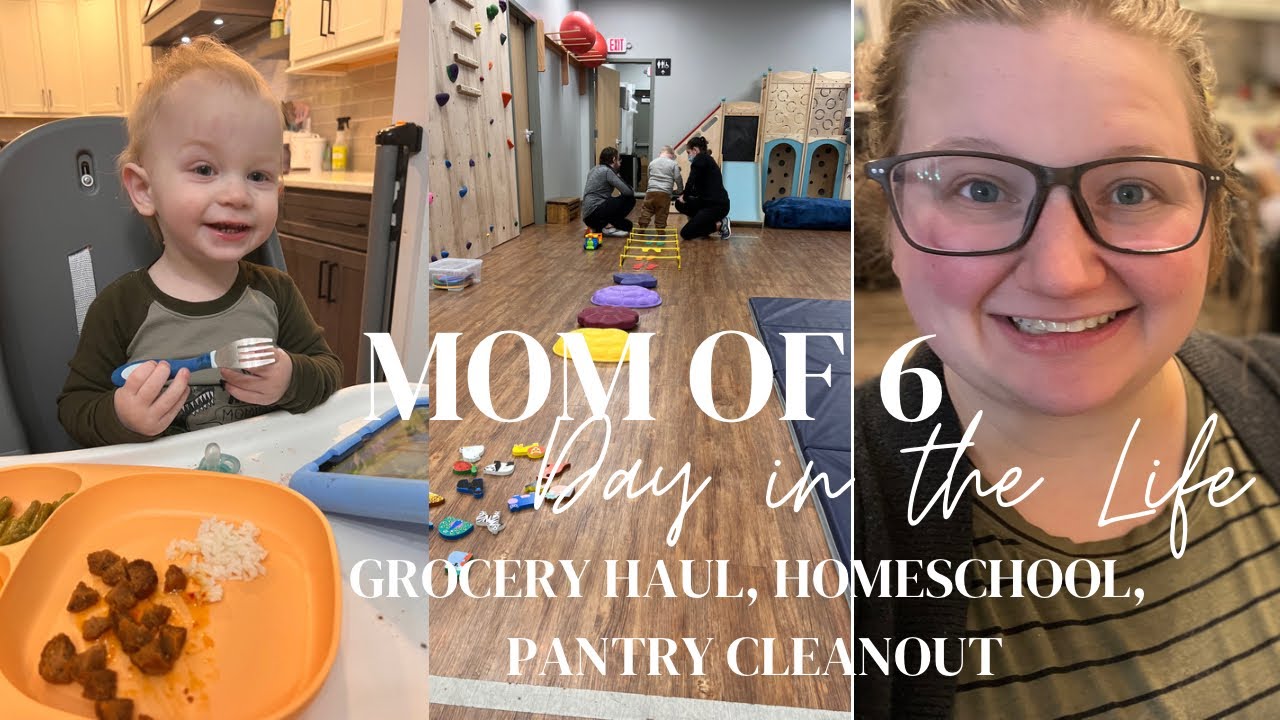 Day in the life || Mom of 6 || Grocery Haul, Homeschooling, Cleaning out my Pantry!