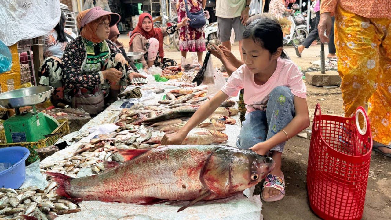 Market Show : Buy big river fish from village market for cooking - Enjoy Country Life