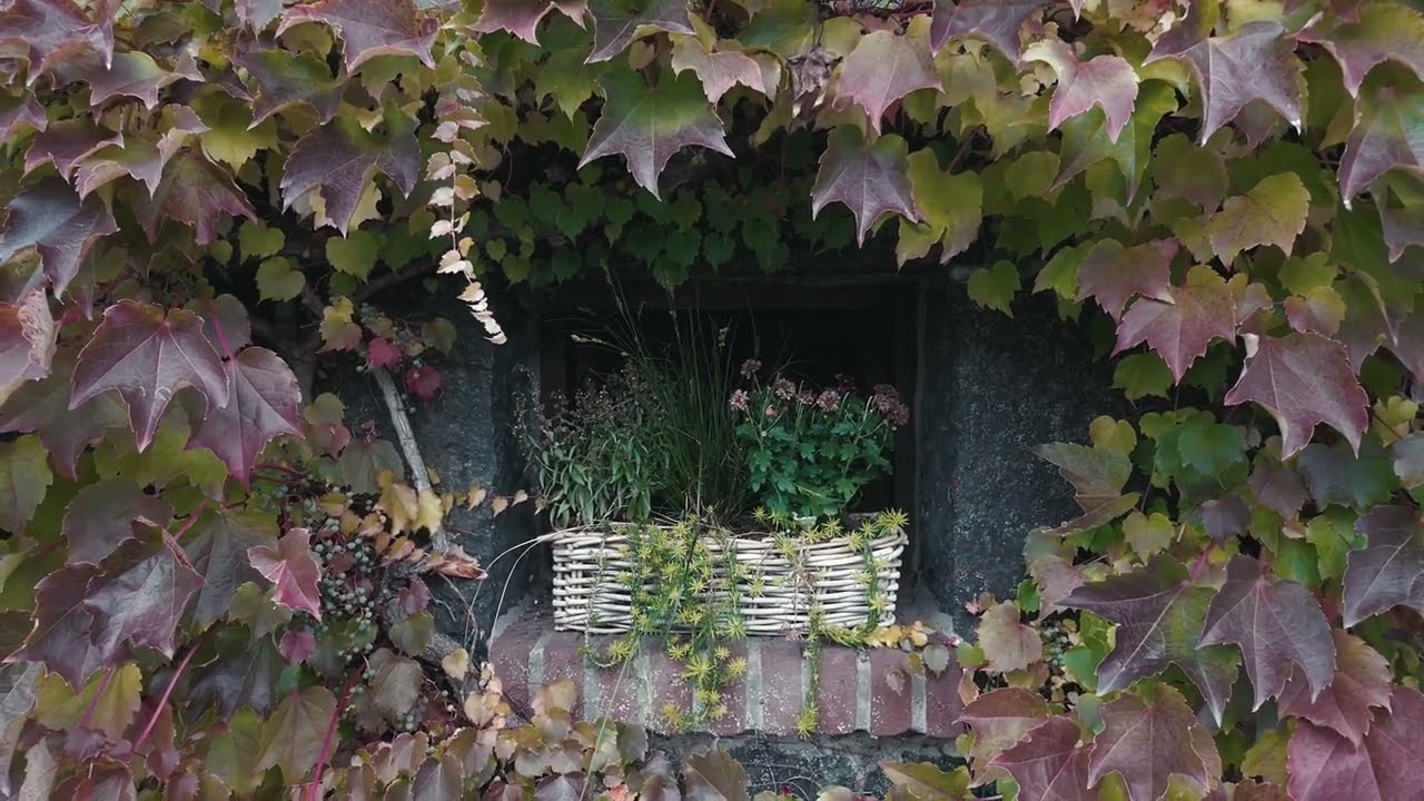 Herbst in Lixfeld  / 4K, 2160p60  (Lixfeld, Angelburg)