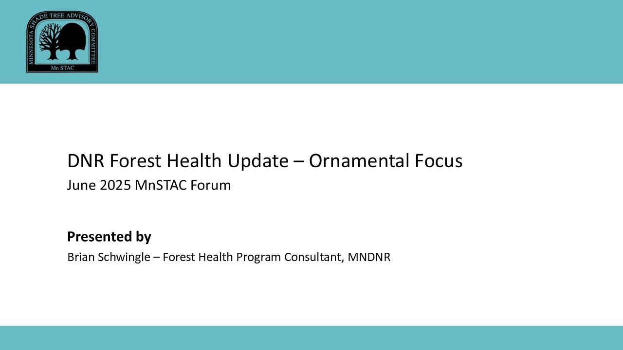 DNR Forest Health Update – Ornamental Focus
