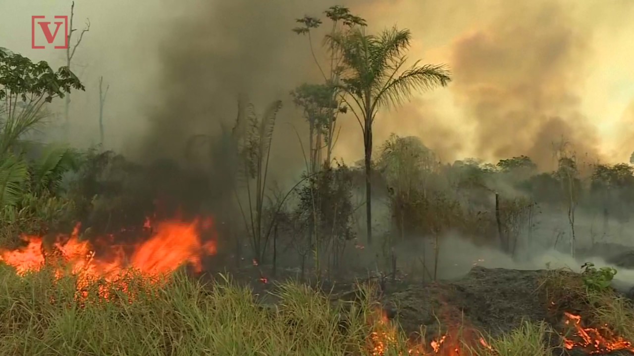 NASA Satellite Images Show Africa’s Congo Basin Has More Fires Than Amazon