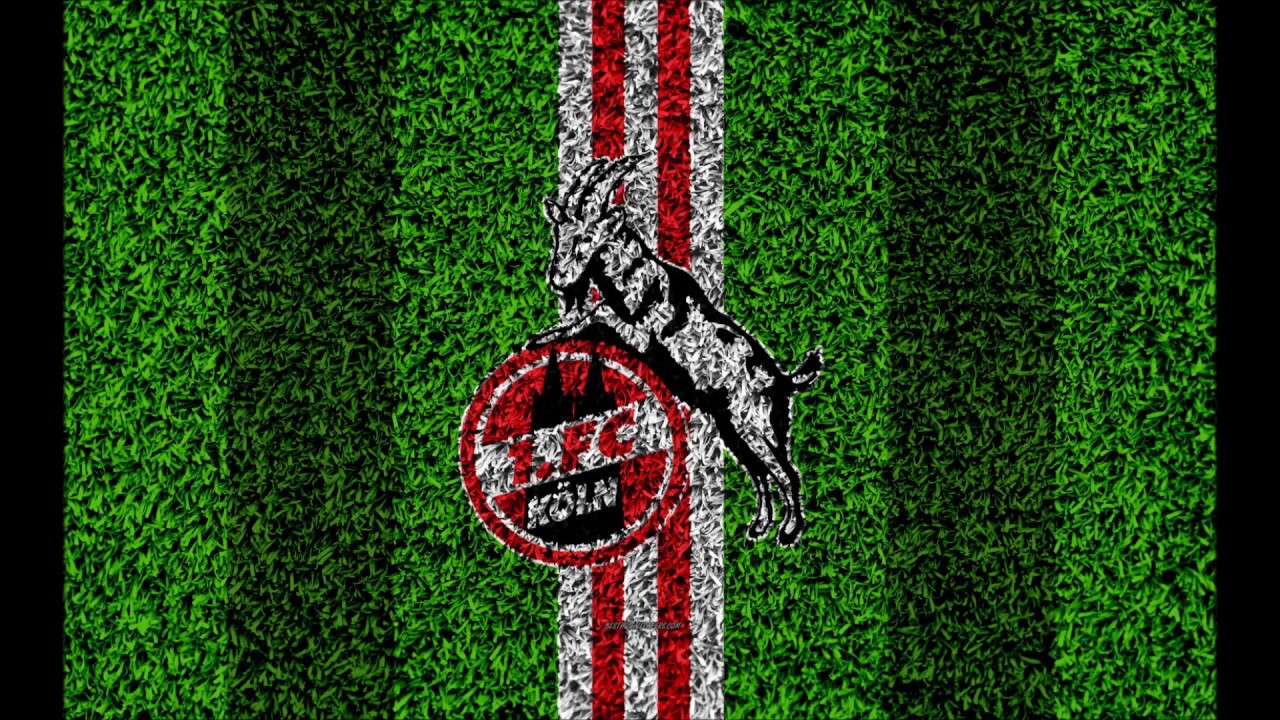 1. FC K&ouml;ln Torhymne 2025/26