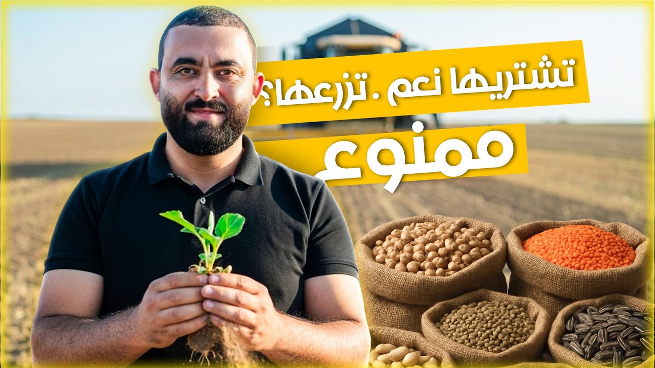 هل تعلم أن هناك بذورًا ممنوع عليك إعادة زرعها مرة اخرى؟!