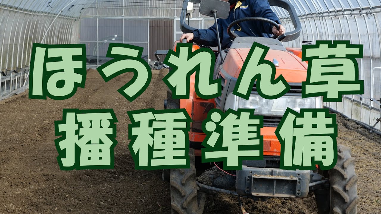 ハウスほうれん草播種準備19/12/12＃842