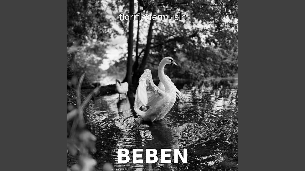 Ich Halte Dich Fest