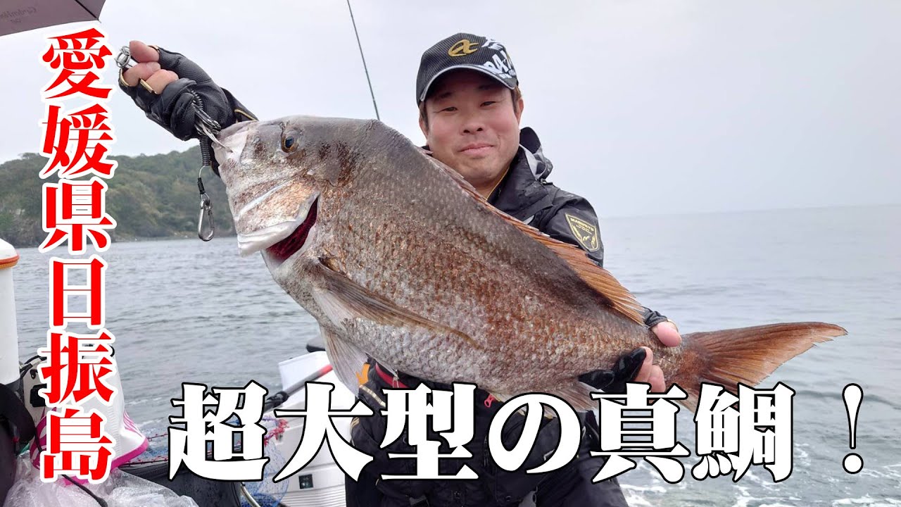 【愛媛県日振島】超大型の真鯛！【森井陽】