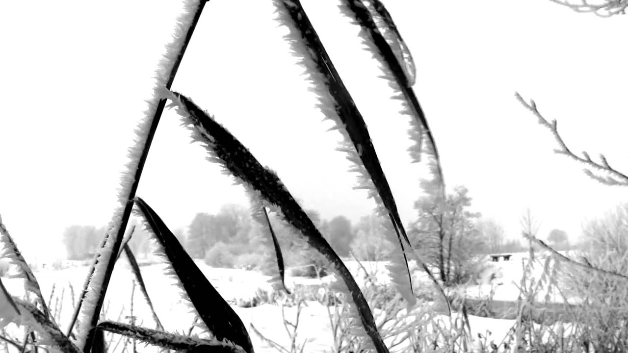 Winter 2010 Ostfriesland (HD)