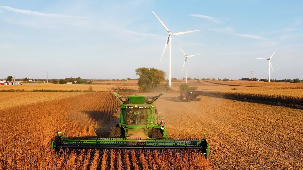 Harvest 2025 | John Deere S780 Combining Soybeans | Case IH Quadtrac 470